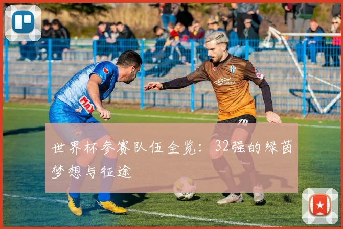 世界杯参赛队伍全览:32强的绿茵梦想与征途