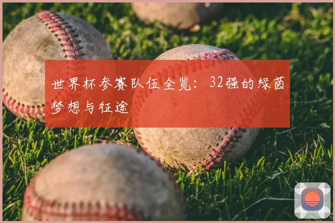世界杯参赛队伍全览:32强的绿茵梦想与征途