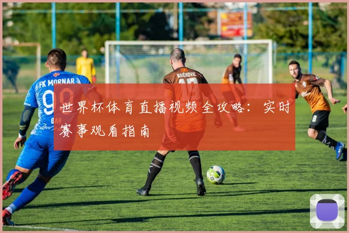 世界杯体育直播视频全攻略：实时赛事观看指南